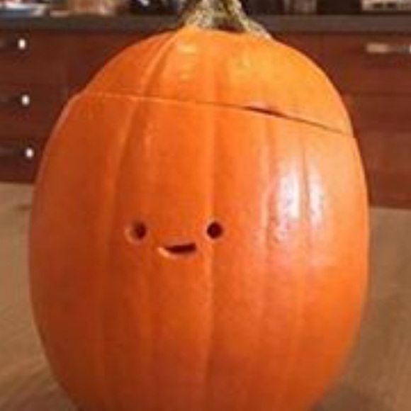 Meet your Posher, Zoey - Picture 1 of 1